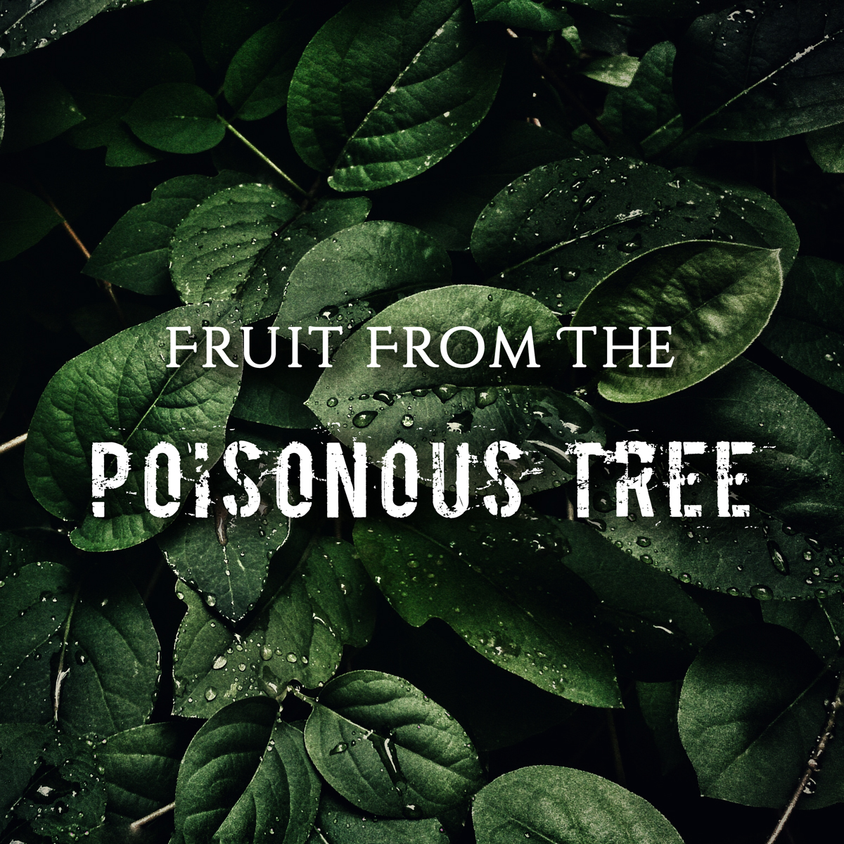 What case established the fruit of poisonous tree doctrine